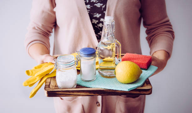 Budget-Friendly Tips for Building a Sustainable Cleaning Routine