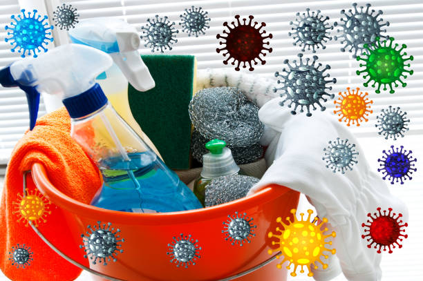 Cleaning Strategies to Prevent the Flu in Your Home