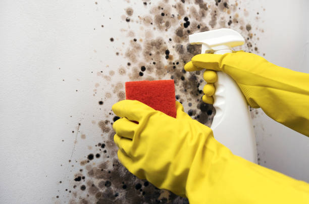 How to Wash Painted Walls